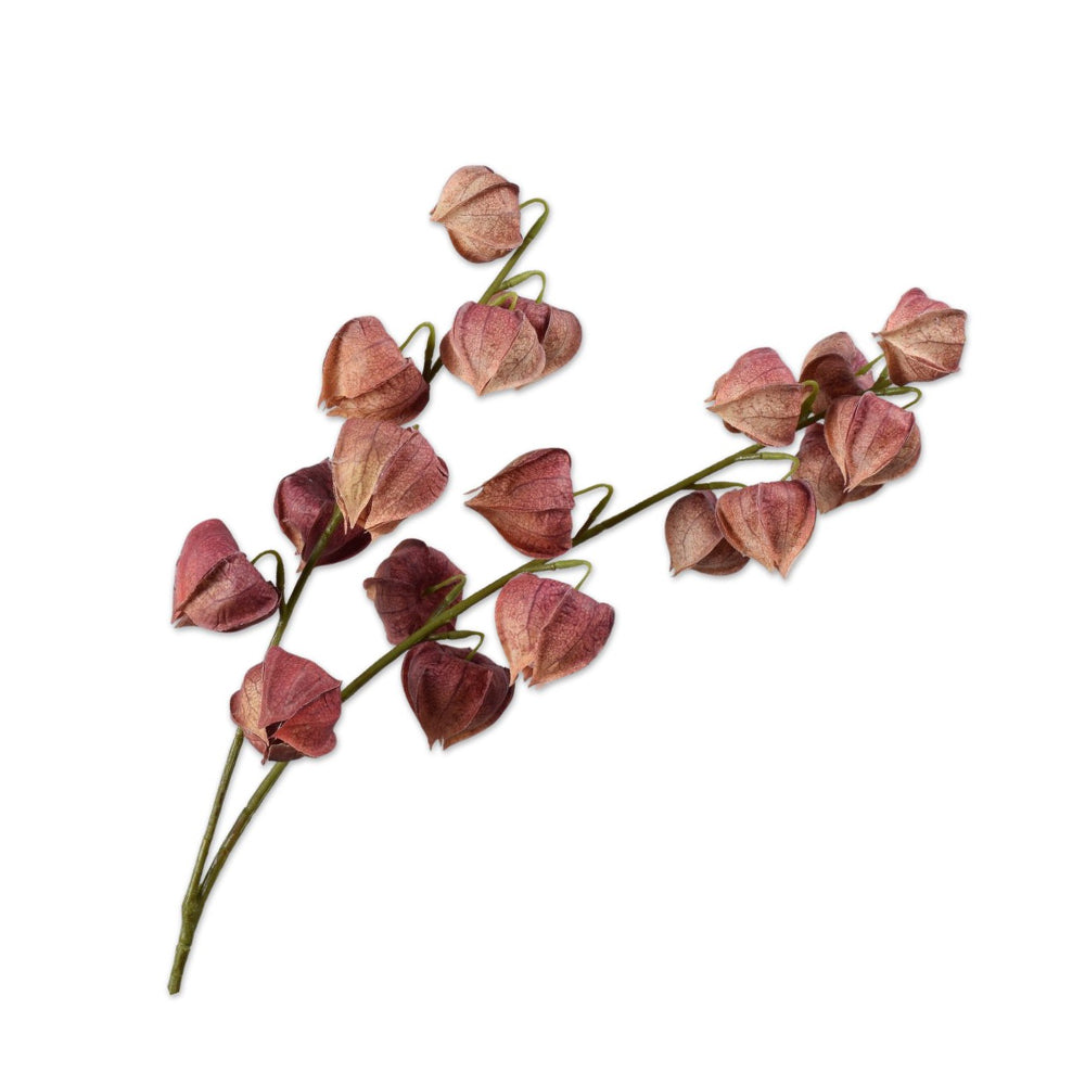 Zijden Bloemen - Silk-Ka - Physalis Tak Mauve