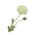 witte klaproos van silkka - zijden bloemen