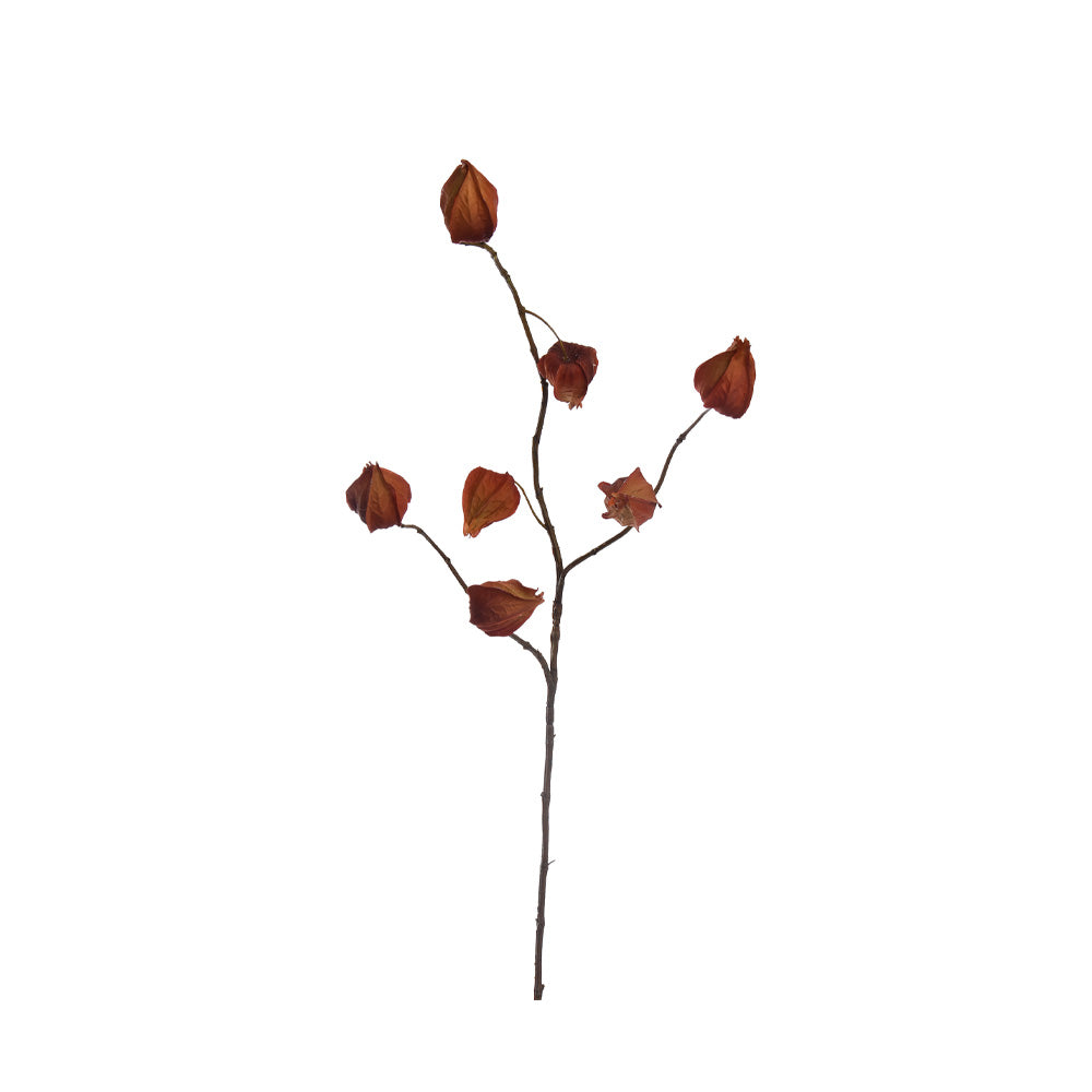 Zijden Bloemen - Lampionnetjes Tak Burned Orange