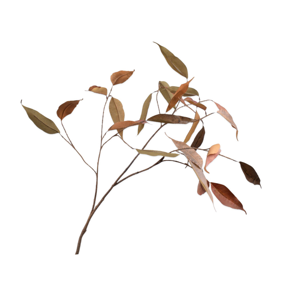 Zijden Bloemen - Silk-ka - Eucalyptus Tak Bruin