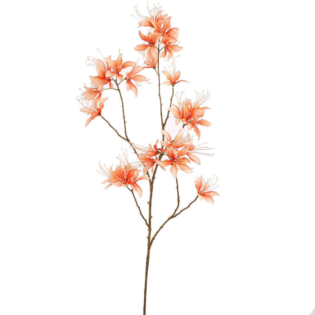 Zijden Bloemen - Bergamot Tak Oranje