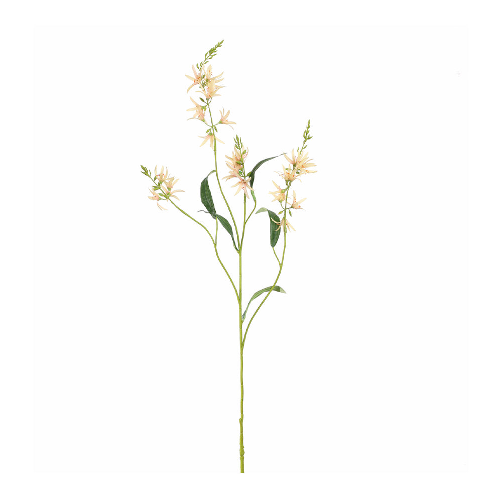 Zijden Bloemen - Camassia Peach