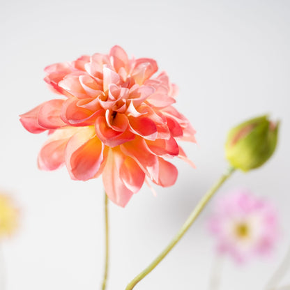 Zijden Bloemen - Silk-Ka - Dahlia Tak Peach