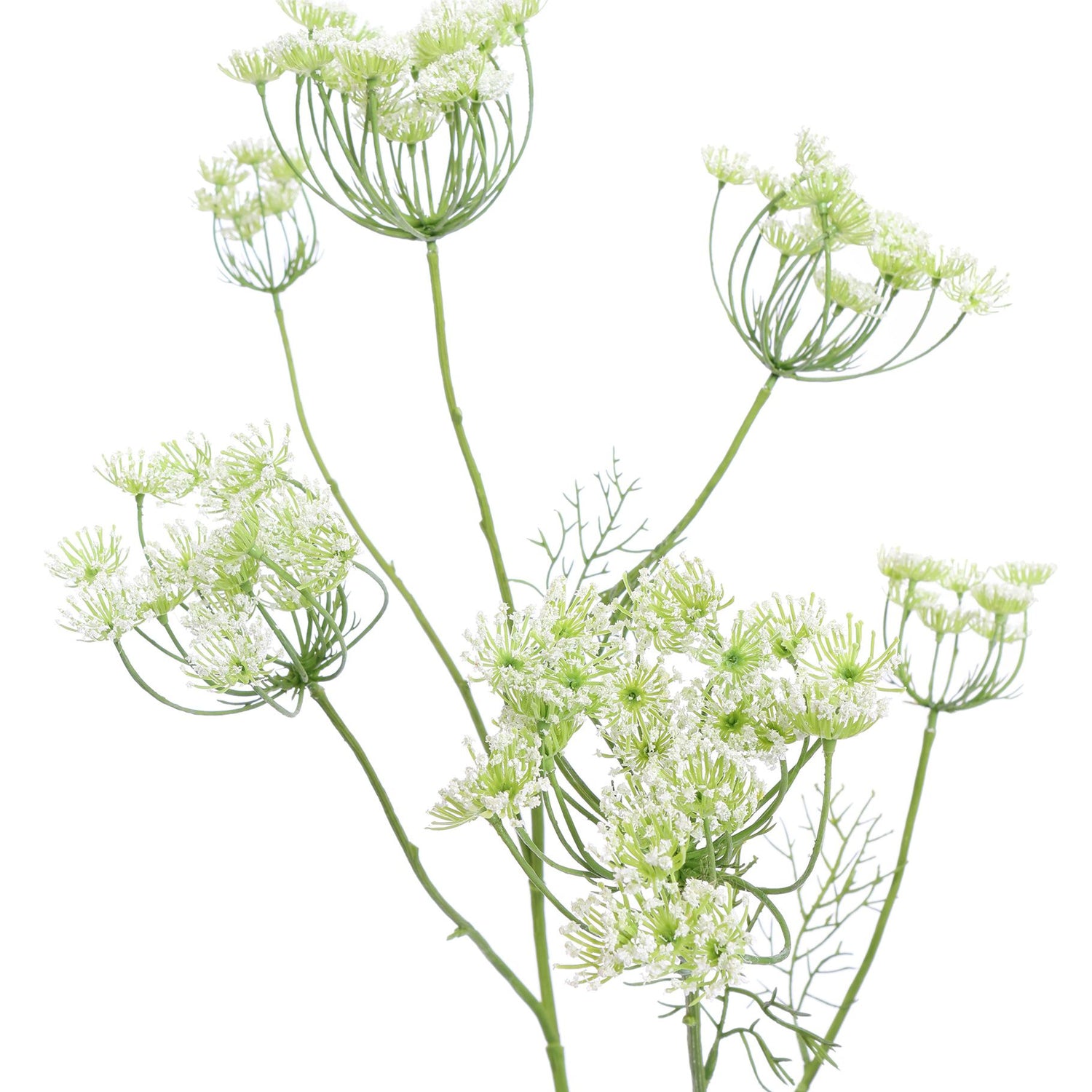 Zijden Bloemen - Dille Tak