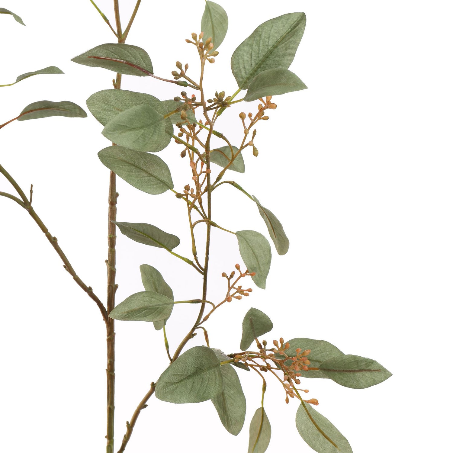 Zijden Bloemen - Eucalyptus Tak