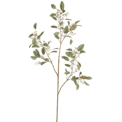Zijden Bloemen - Eucalyptus Tak