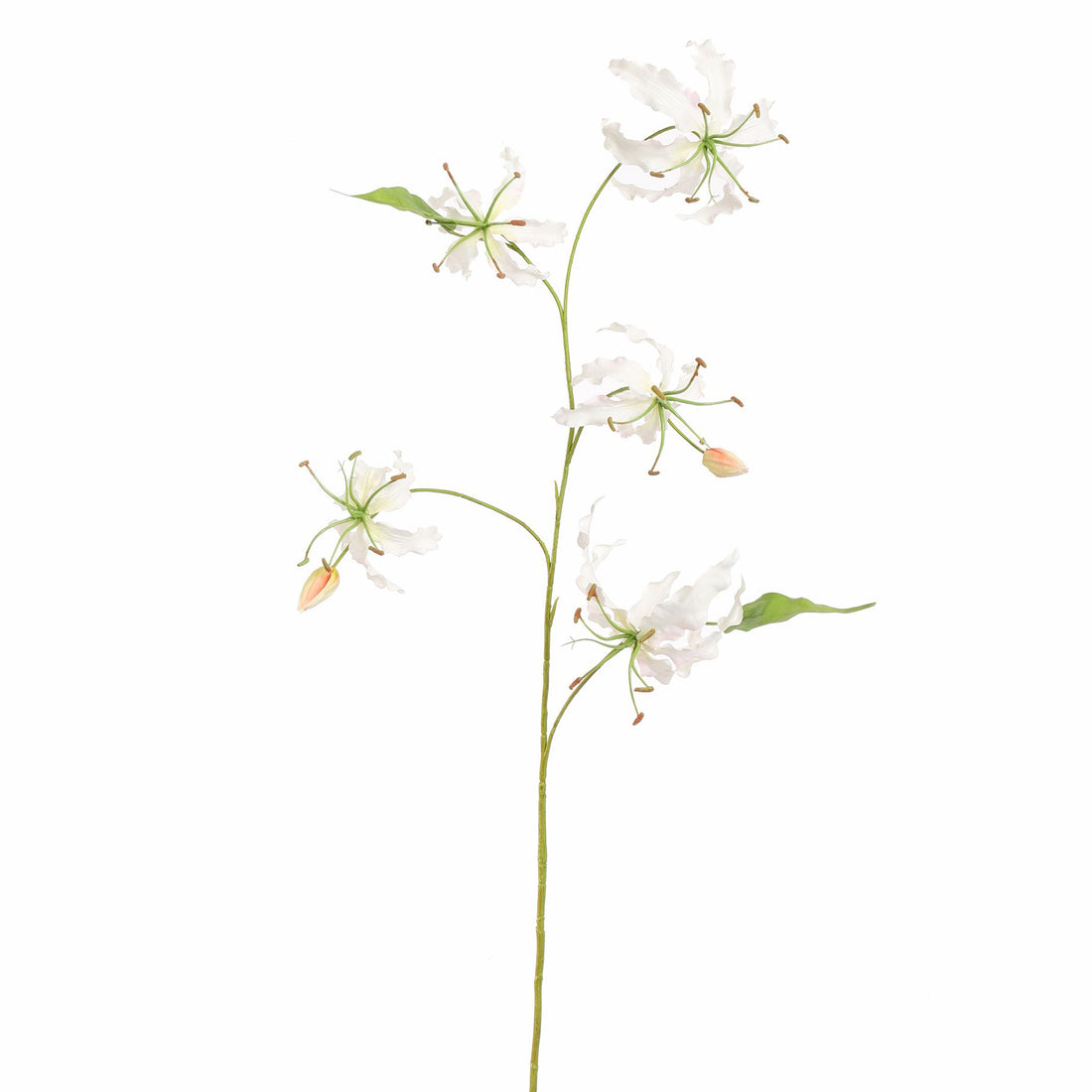 Zijden Bloemen - Gloriosa Wit