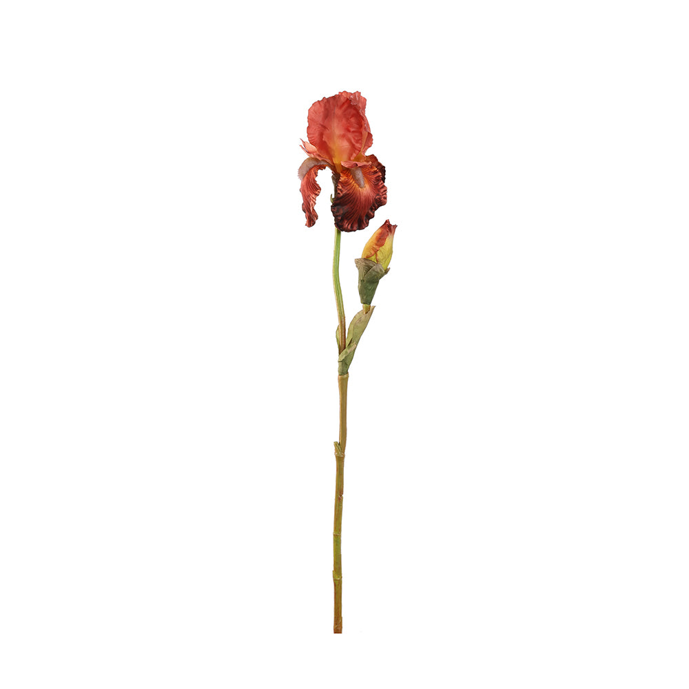 Zijden Bloemen - Iris Bordeaux