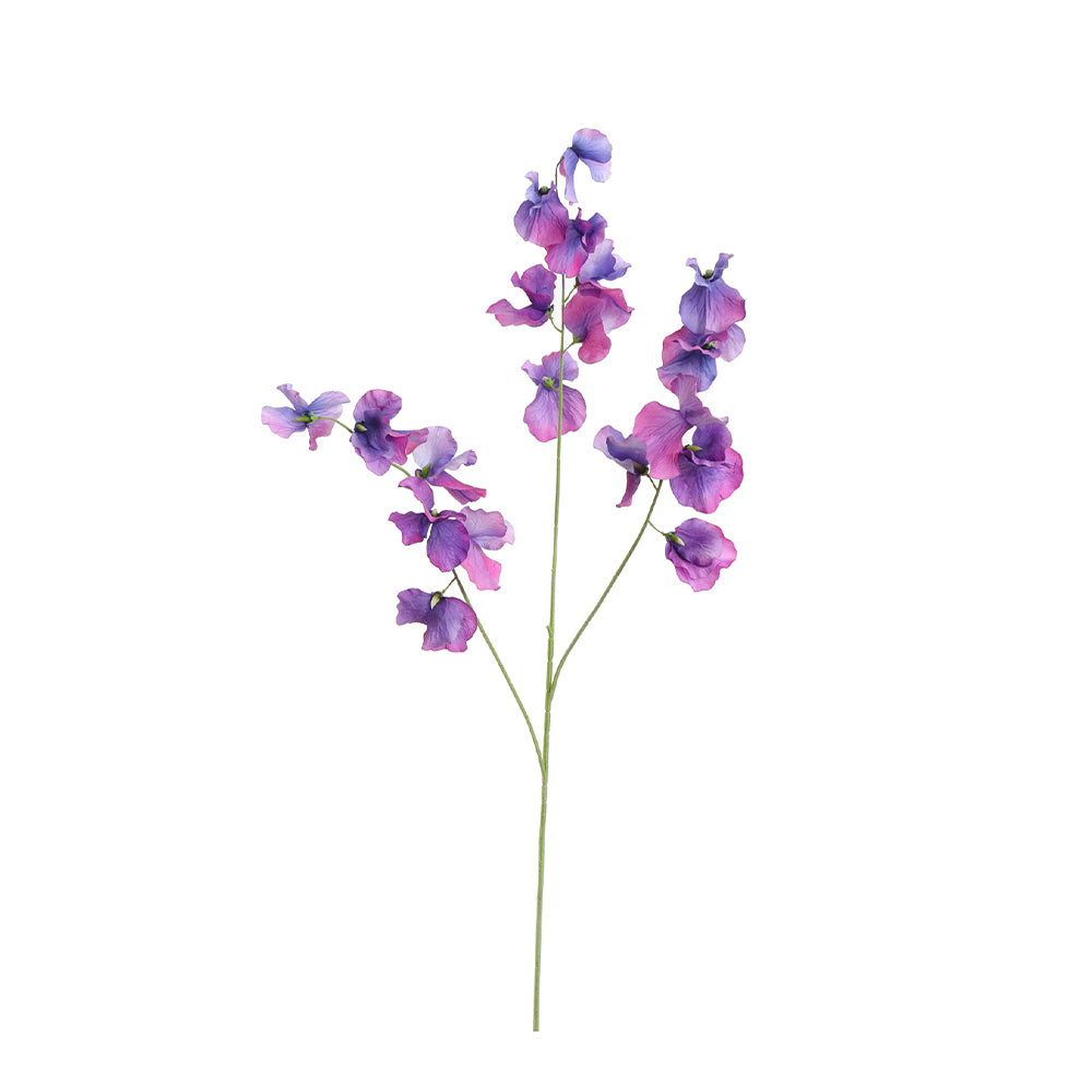 Zijden Bloemen - Lathyrus Paars