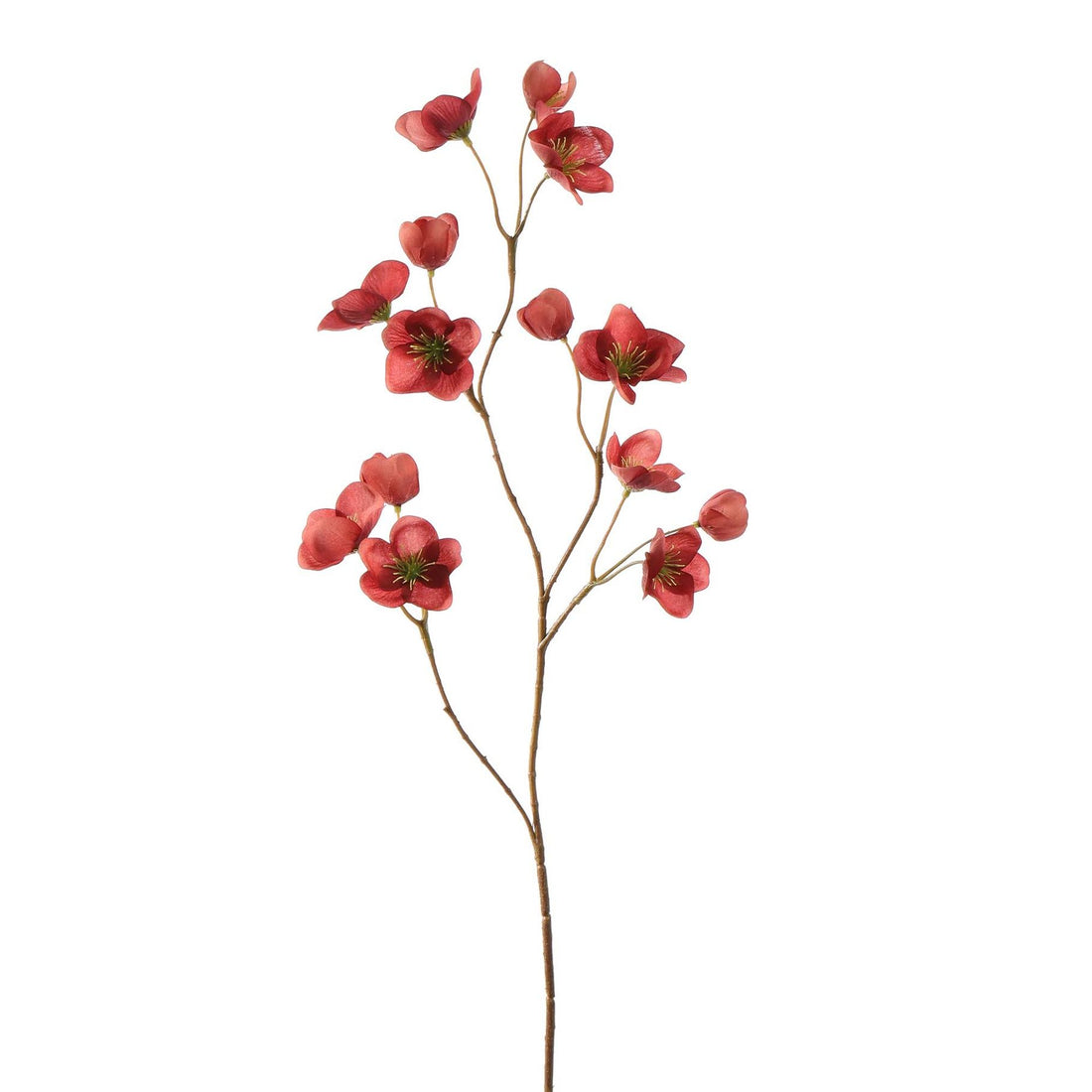 Zijden Bloemen - Mini Helleborus Massala