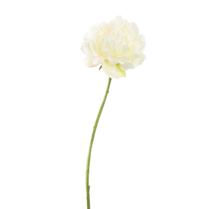Zijden Bloemen - Pioenroos Crème