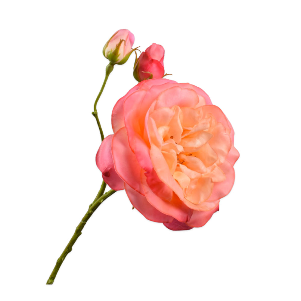 peachkleurige roos van silkka - zijden bloemen