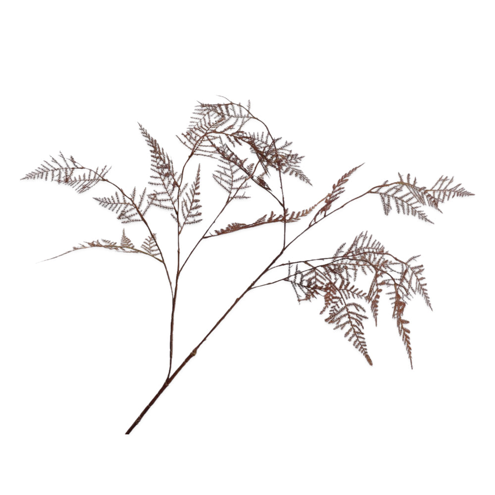 Zijden Bloemen - Silk-ka - Asparagus Bruin