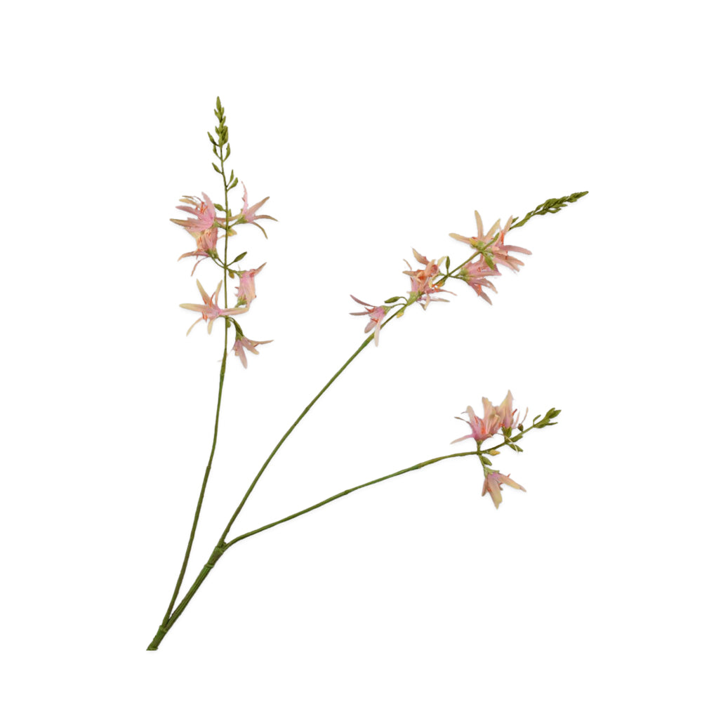 Zijden Bloemen - Silk-Ka - Camassia Peach