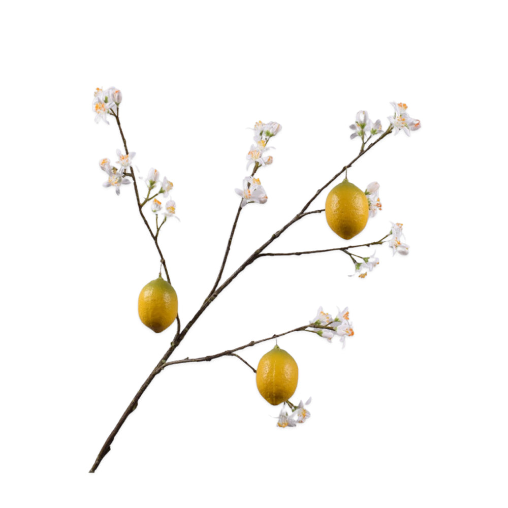 bloesem tak met gele citroenen van silkka - zijden bloemen