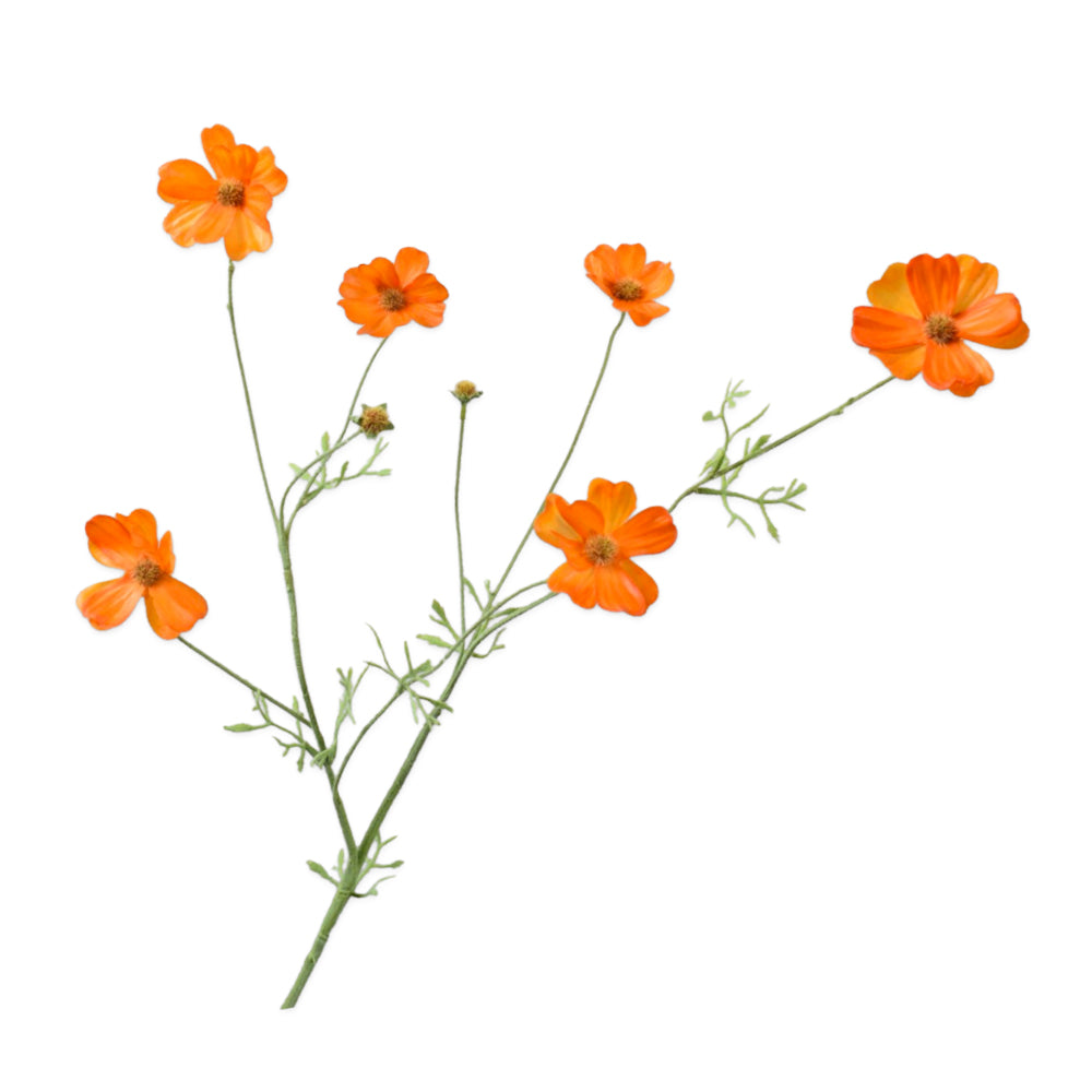 Zijden Bloemen - Silk-Ka - Cosmos Oranje