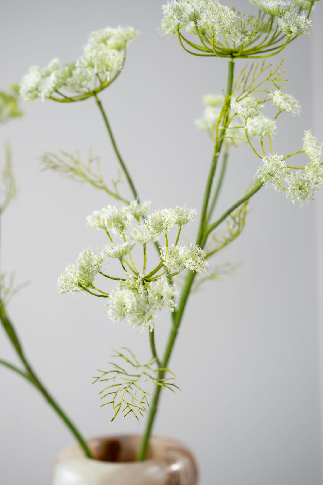 Zijden Bloemen - Silk-ka - Dille Tak Crème