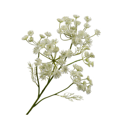 Zijden Bloemen - Silk-ka - Dille Tak Crème