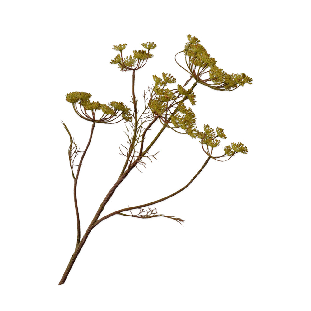 Zijden Bloemen - Silk-ka - Dille Tak Donkergroen