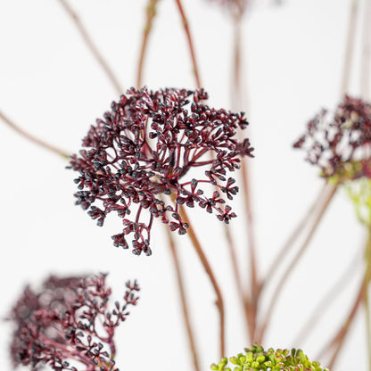Zijden Bloemen - Silk-Ka - Dille Tak Bordeaux
