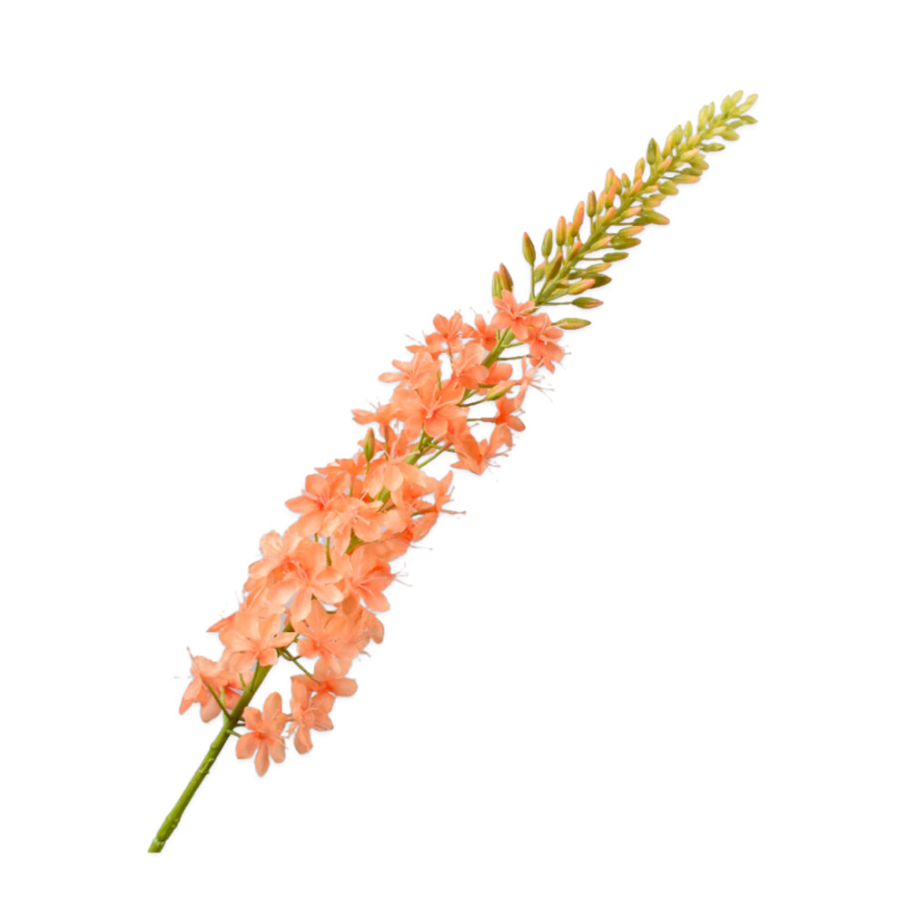 Zijden Bloemen - Silk-Ka - Eremurus Peach