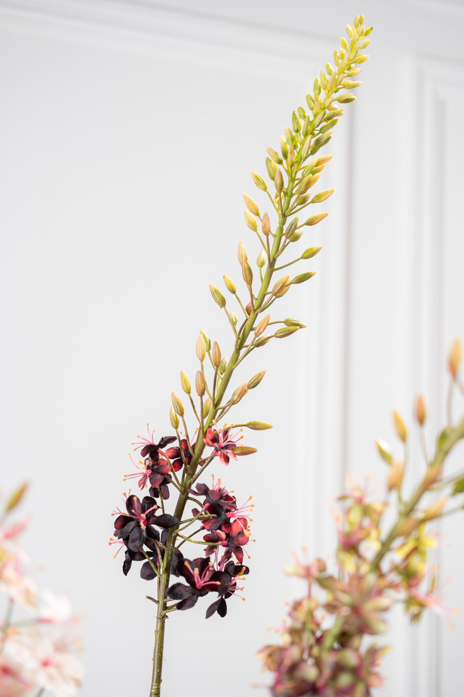 Zijden Bloemen - Silk-Ka - Eremurus Bordeaux