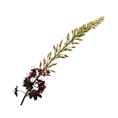 Zijden Bloemen - Silk-Ka - Eremurus Bordeaux