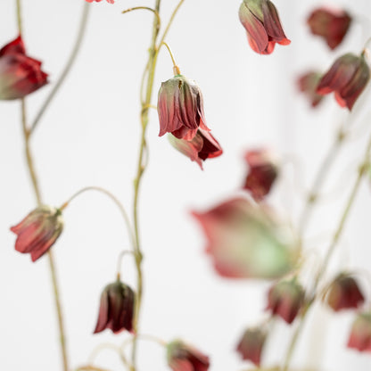 Zijden Bloemen - Silk-Ka - Fritillaria Tak Rood / Groen