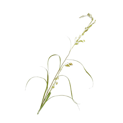 Zijden Boeket - Silk-ka - Soft Autumn