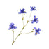 blauwe iris tak van silkka - zijden bloemen