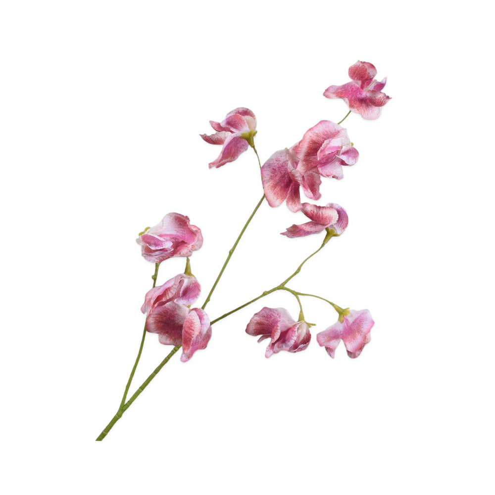 Zijden Bloemen - Silk-Ka - Lathyrus Fuchsia