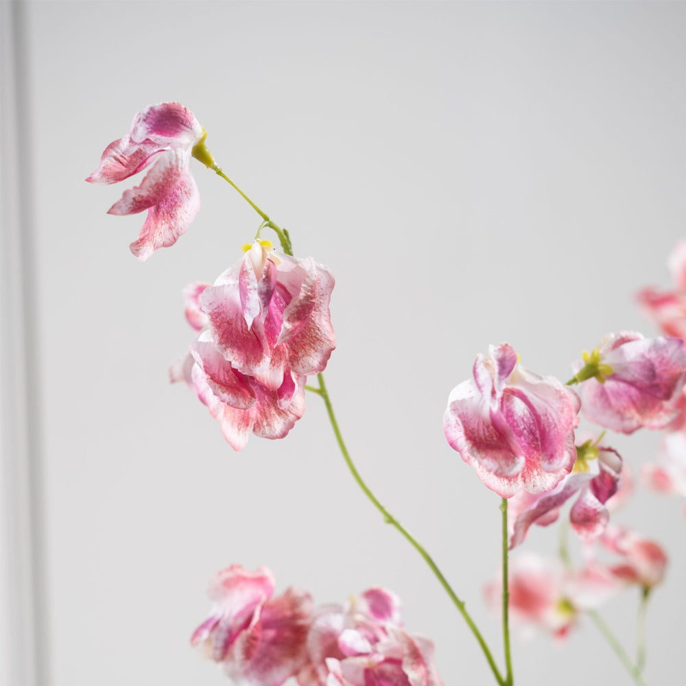 Zijden Bloemen - Silk-Ka - Lathyrus Fuchsia