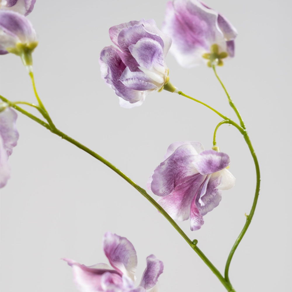 Zijden Bloemen - Silk-Ka - Lathyrus Lila