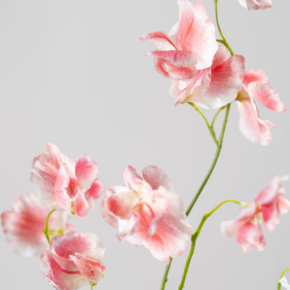 Zijden Bloemen - Silk-Ka - Lathyrus Roze
