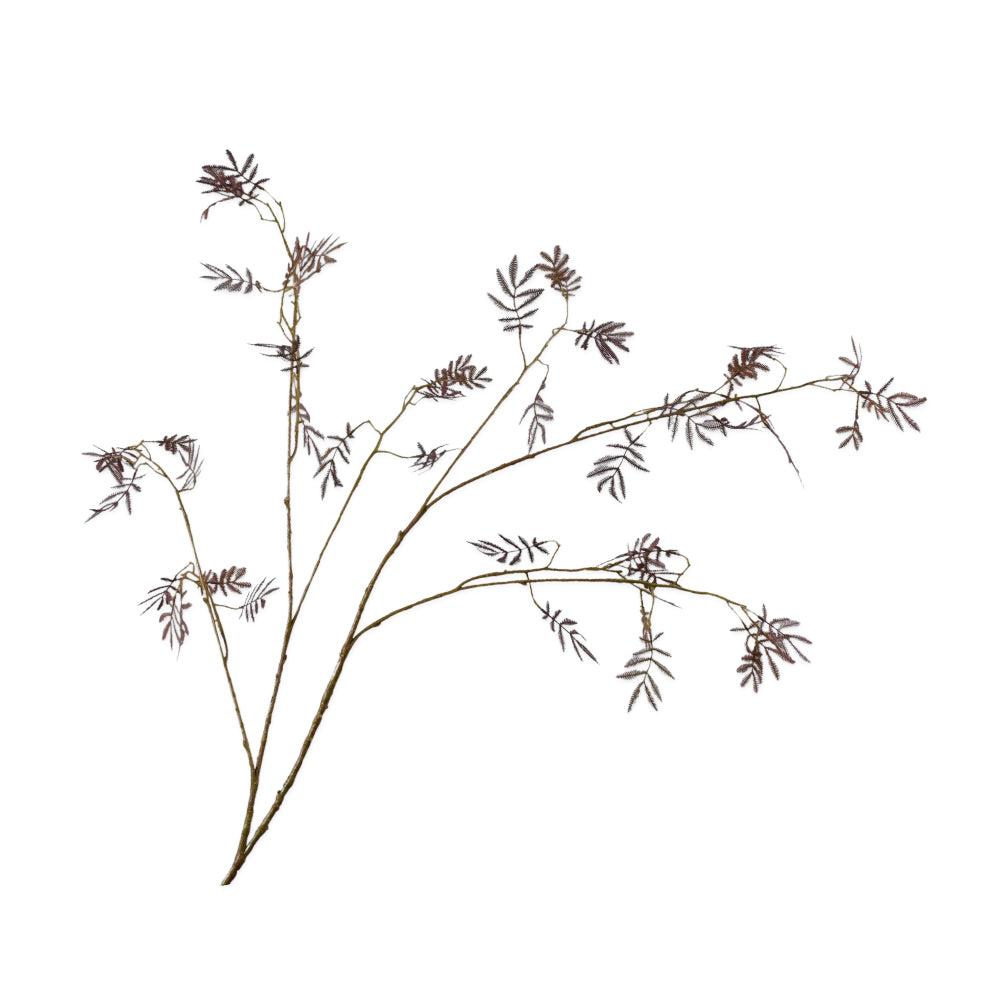 Zijden Bloemen - Silk-Ka - Mimosa Tak Bordeaux