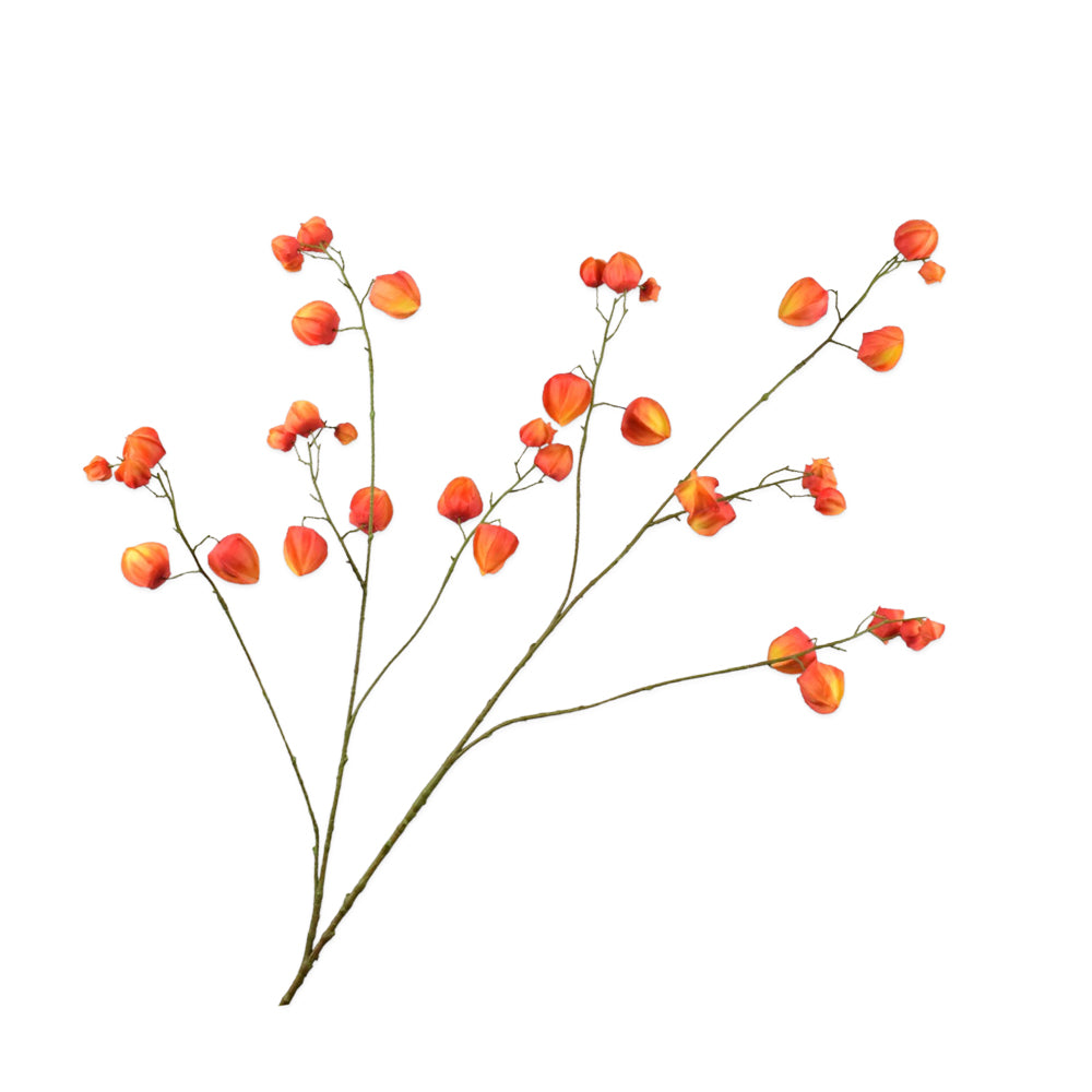 Zijden Bloemen - Silk-Ka - Physalis Tak Oranje