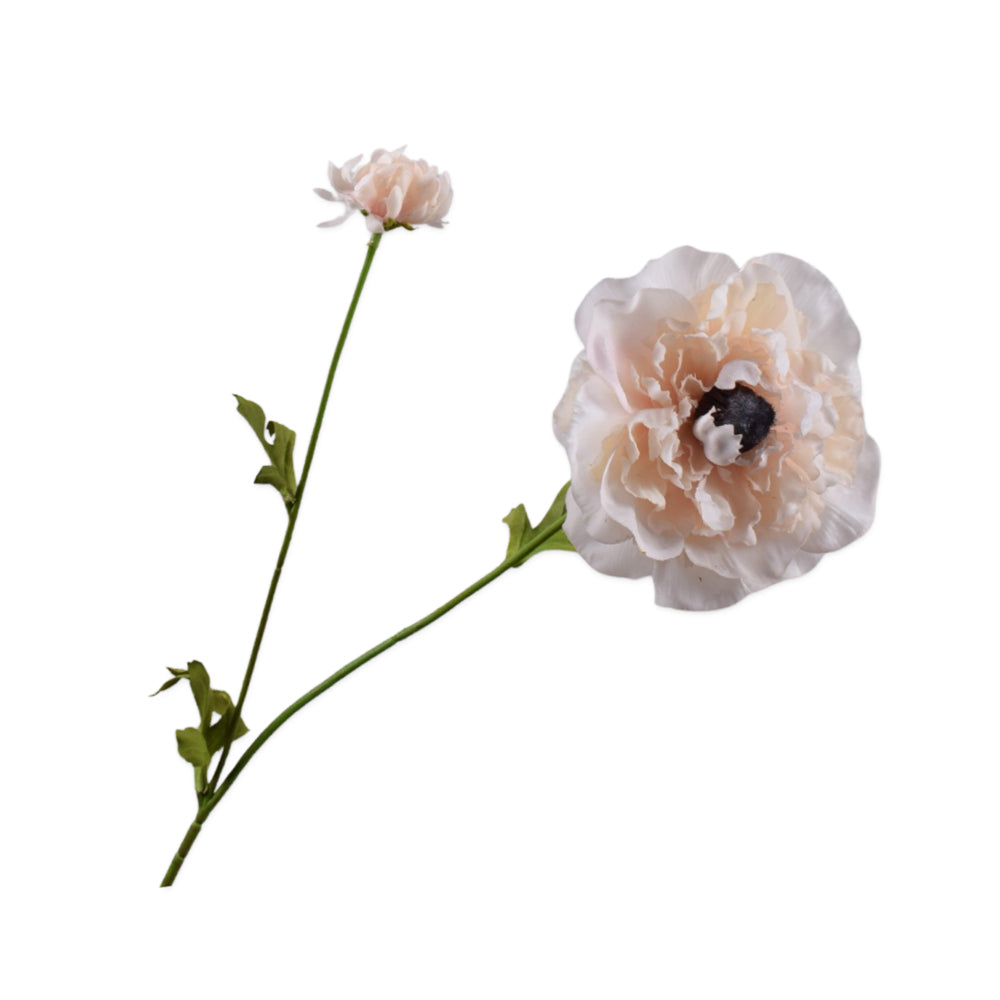 Zijden Bloemen - Silk-Ka - Ranonkel Crème