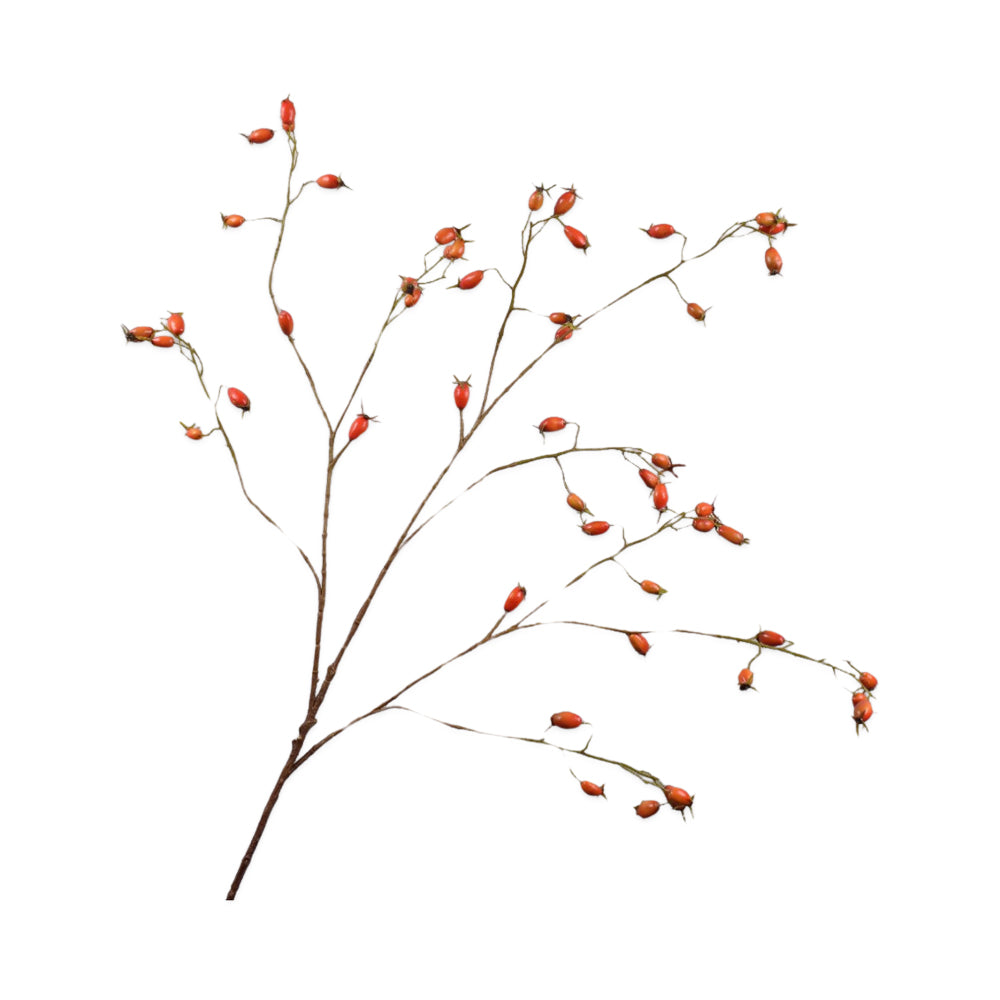 Zijden Bloemen - Silk-ka - Rozenbotteltak Oranje