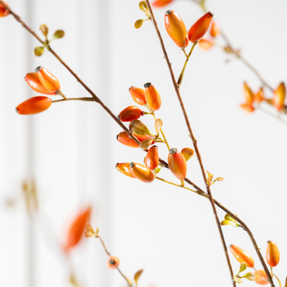 Zijden Bloemen - Silk-ka - Rozenbotteltak Oranje