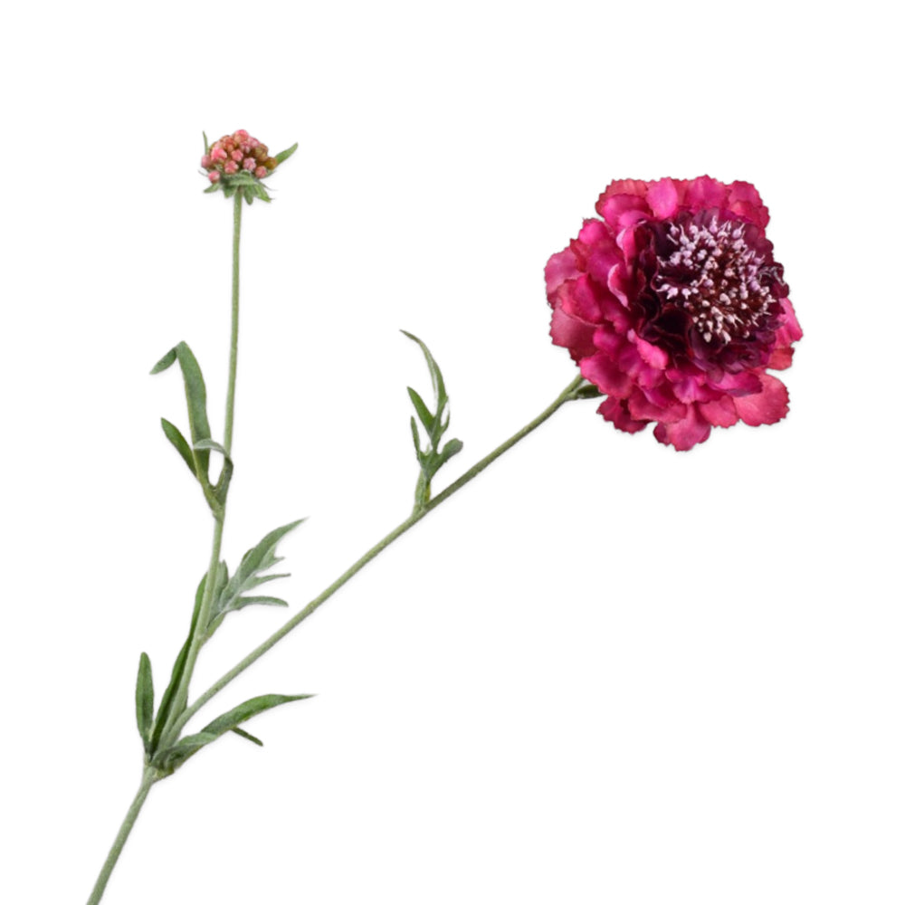 Zijden Bloemen - Silk-ka - Scabiosa Beauty