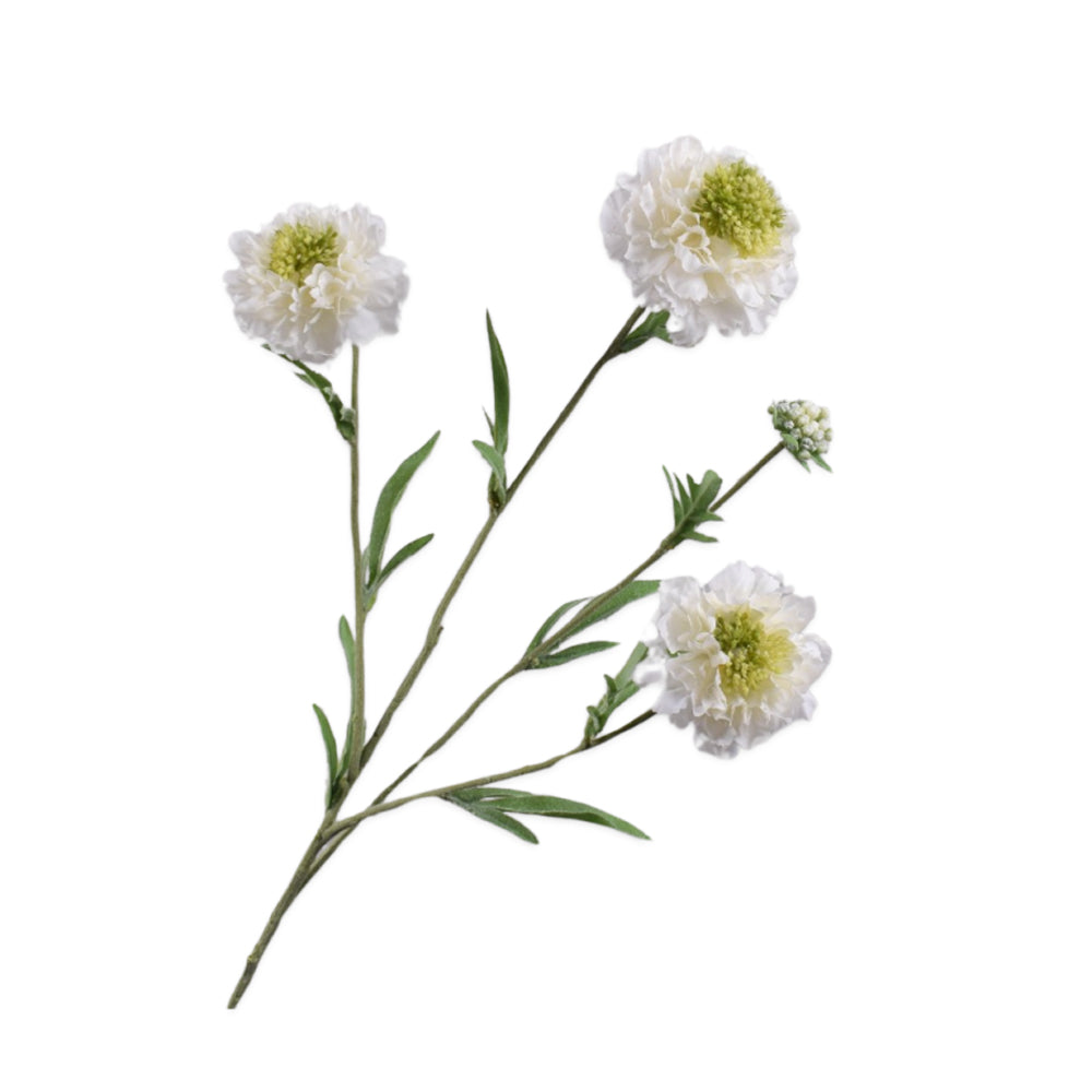 witte scabiosa tak silkka - zijden bloemen 