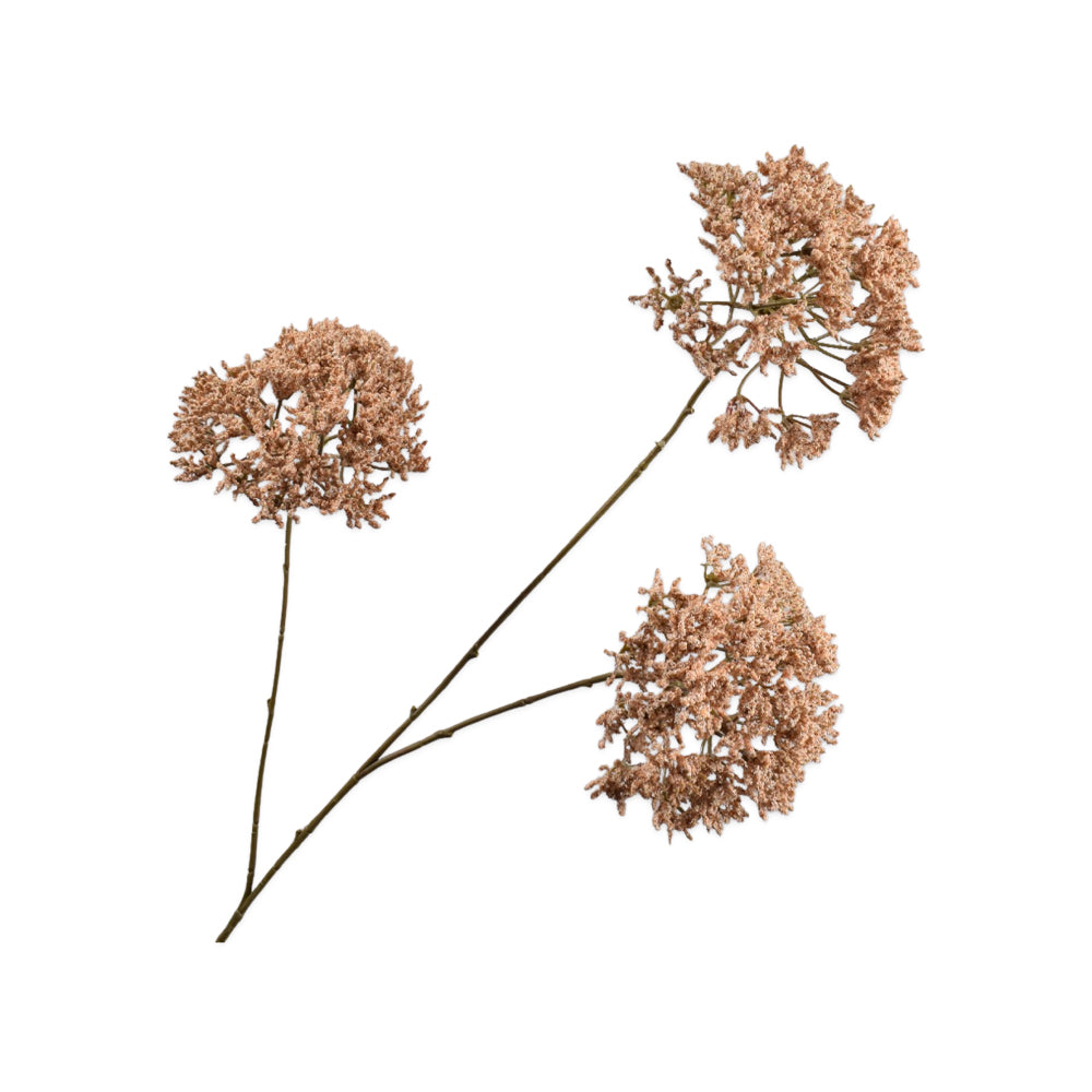 Zijden Bloemen - Silk-Ka - Trachelium Tak Beige