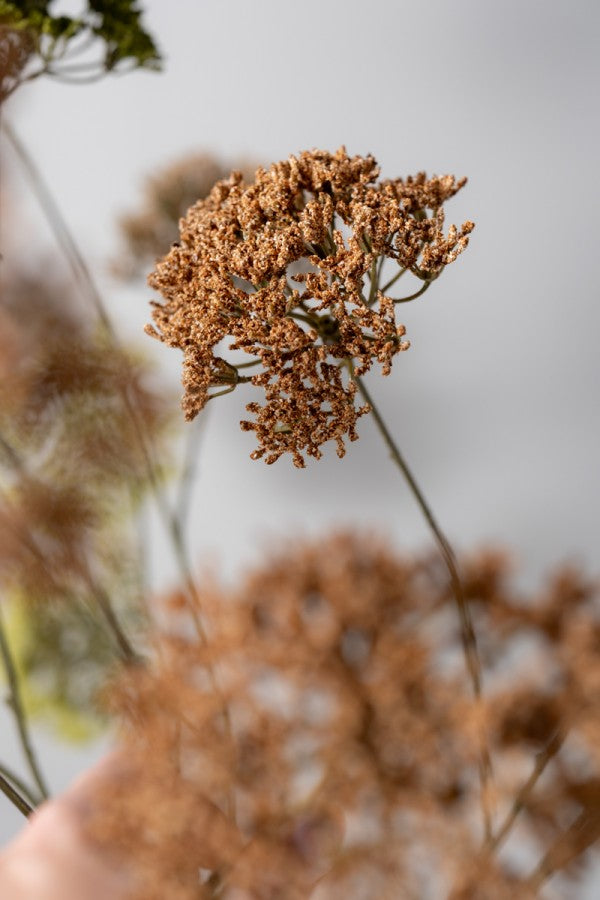 Zijden Bloemen - Silk-Ka - Trachelium Tak Bruin