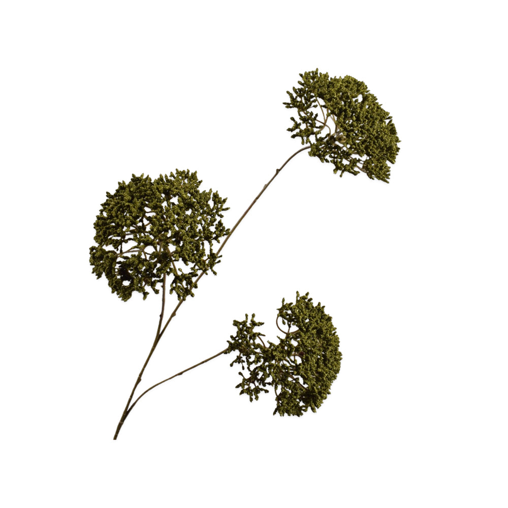 Zijden Bloemen - Silk-Ka - Trachelium Tak Groen