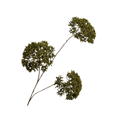 Zijden Bloemen - Silk-Ka - Trachelium Tak Groen