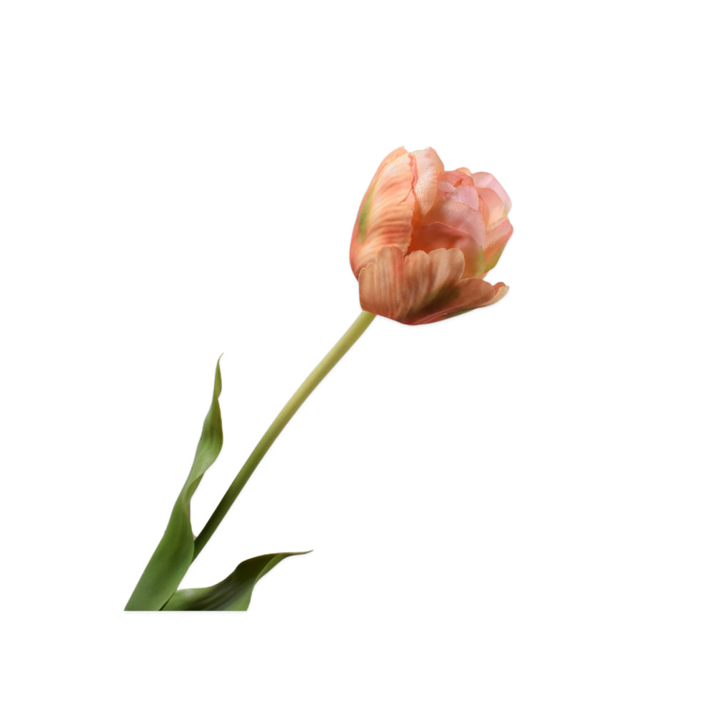 Zijden Bloemen - Silk-Ka - Tulp Peach