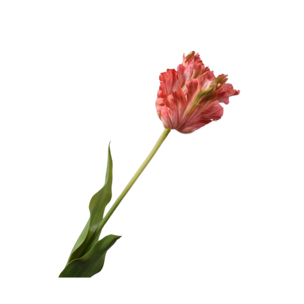 zijden bloemen - roze papegaaien tulp - Silkka