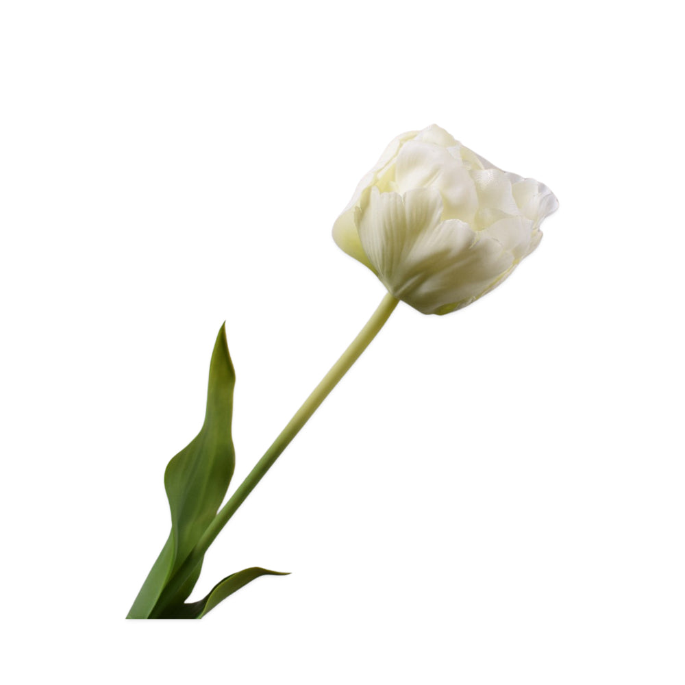 zijden bloemen - witte tulp - Silkka
