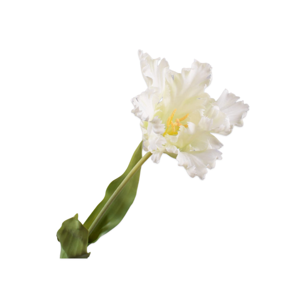 Zijden Bloemen - Silk-Ka - Papegaai Tulp Wit